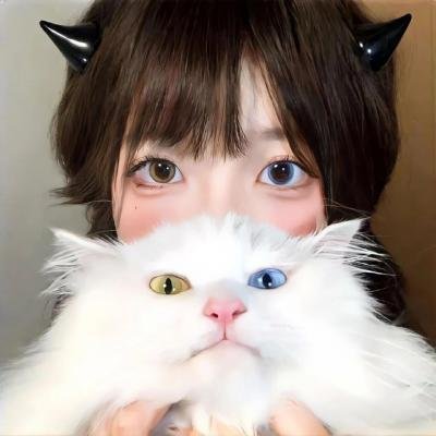 外科医生马丁 第四季